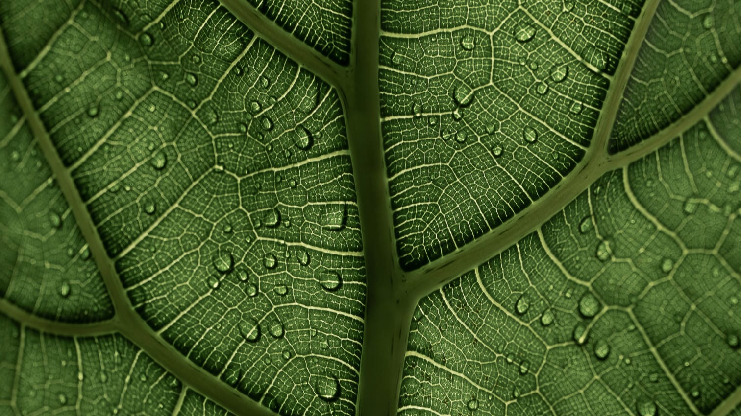 Diagram-image-2.jpg?w=1024&h=576&scale