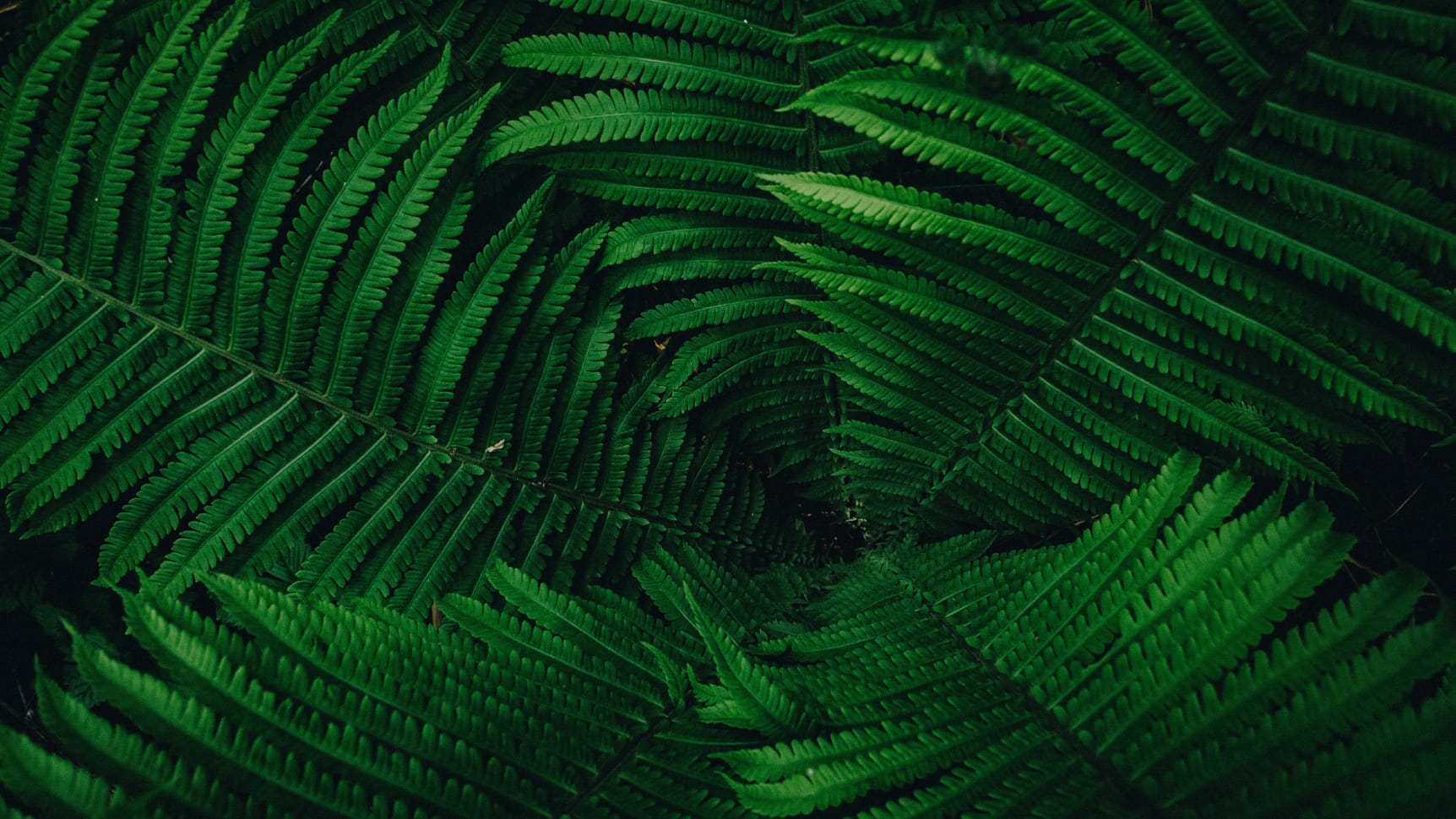 Diagram-image-4.jpg?w=1024&h=576&scale