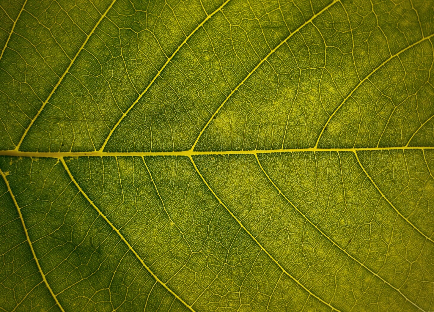 Diagram-image-8.jpg?w=1024&h=736&scale