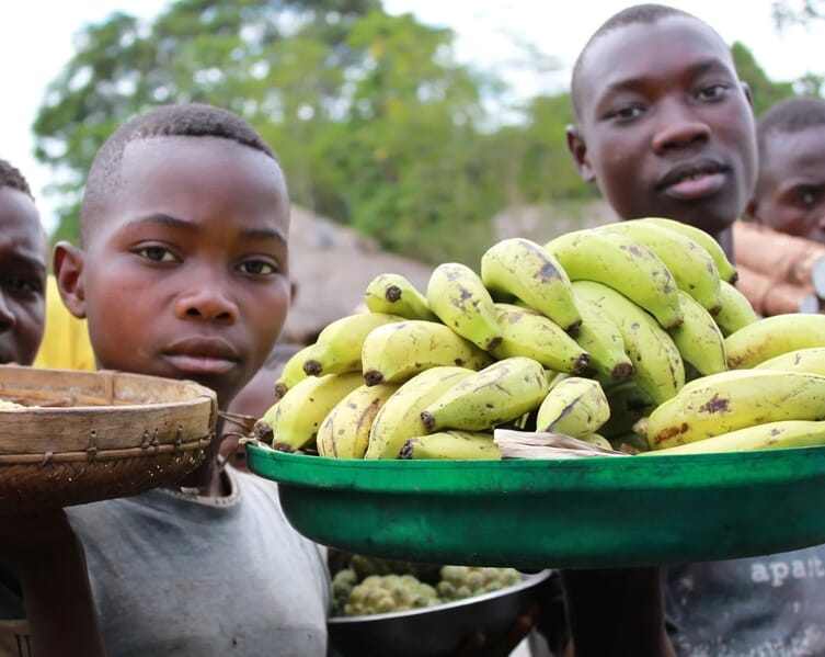 image-content-2-scaled