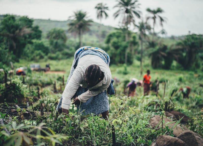 Image-content-1.jpg?w=800&h=577&scale