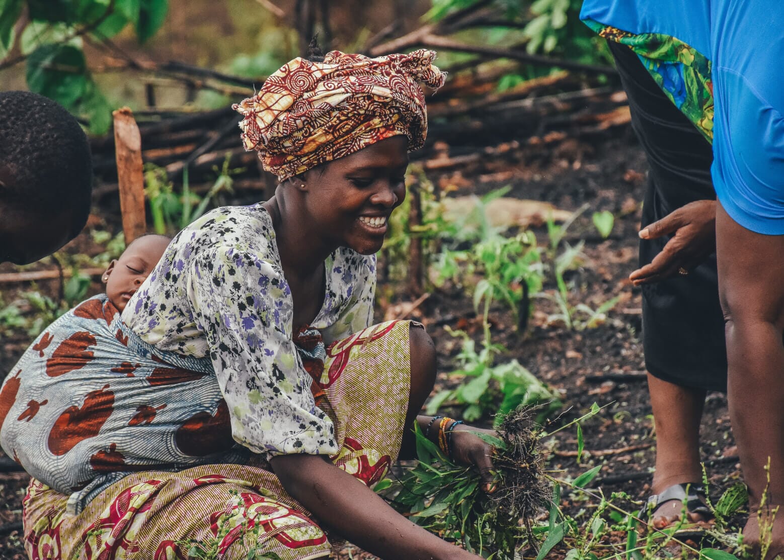 Image-content-3.jpg?w=800&h=572&scale