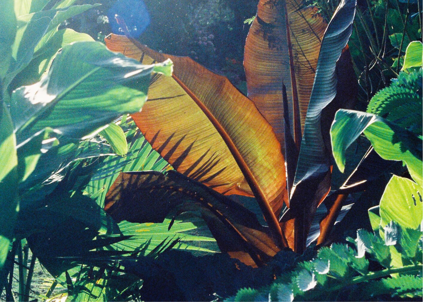 Image-content-7.jpg?w=800&h=572&scale